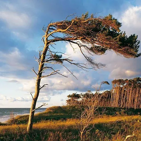 Duenenmeer Lägenhet Dierhagen